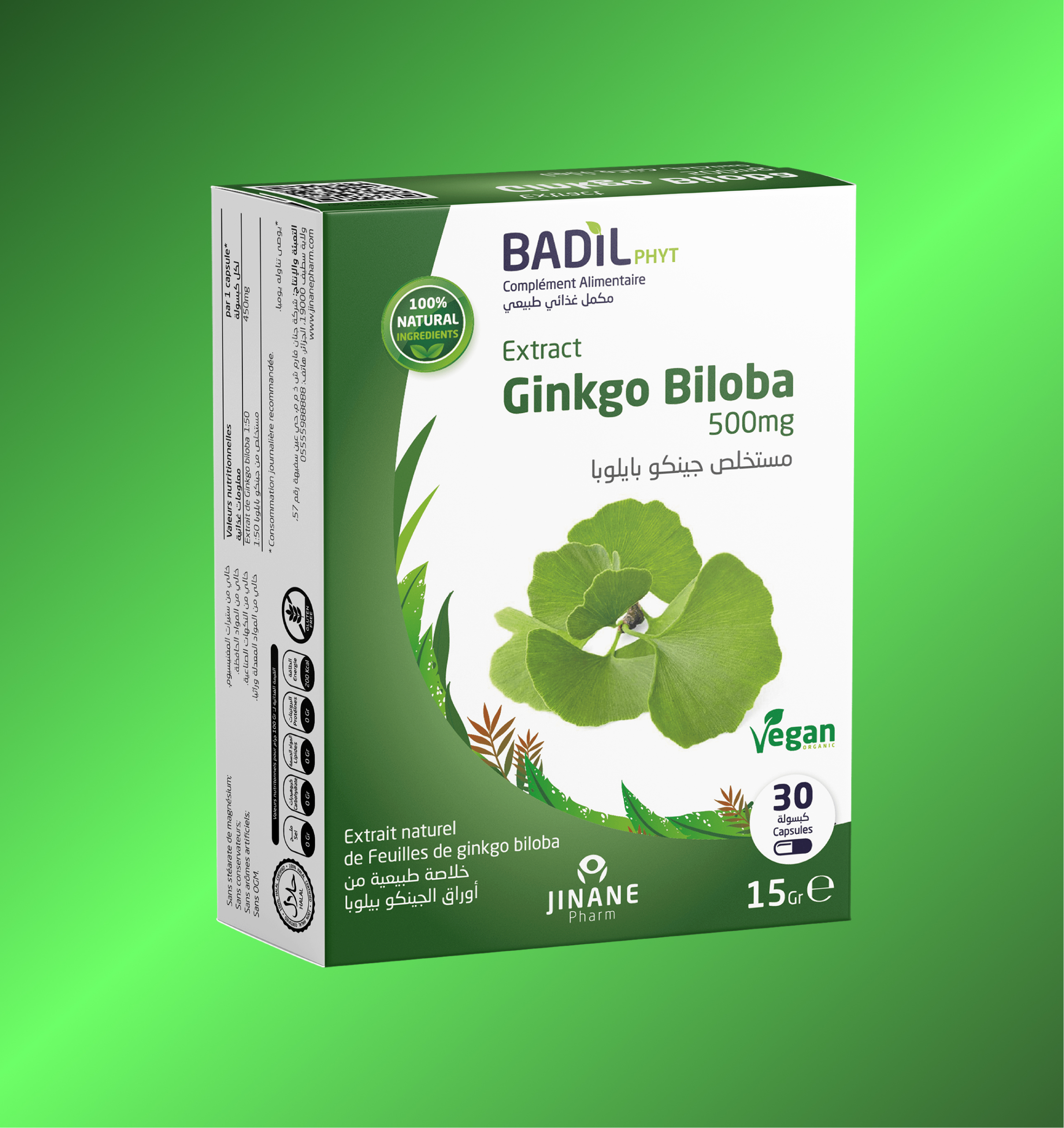 Ginkgo-biloba
